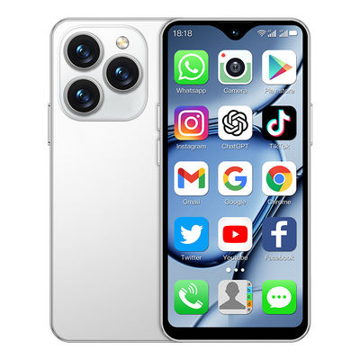 Un bon prix. 4G Smartphone Android 8.1 Dual SIM Dual 2750mAh Multicolore en option Pour le XS18 Pro Max en ligne